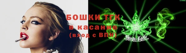 PSILOCYBIN Абаза