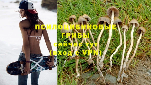 ешки Абдулино
